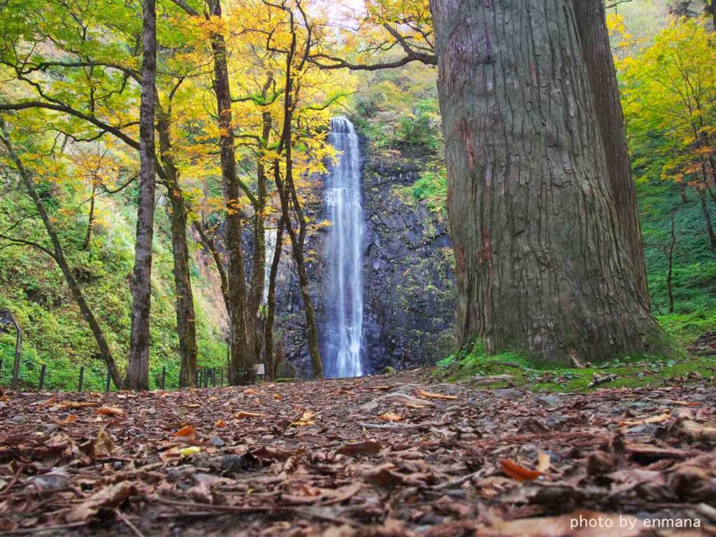 山形県酒田市　玉簾の滝